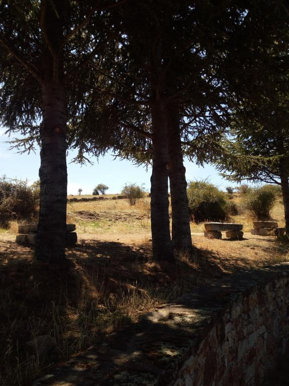 El Egio Guest House Cervera de Buitrago Екстериор снимка